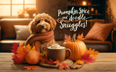 Pumpkin Spice and Doodle Snuggles!